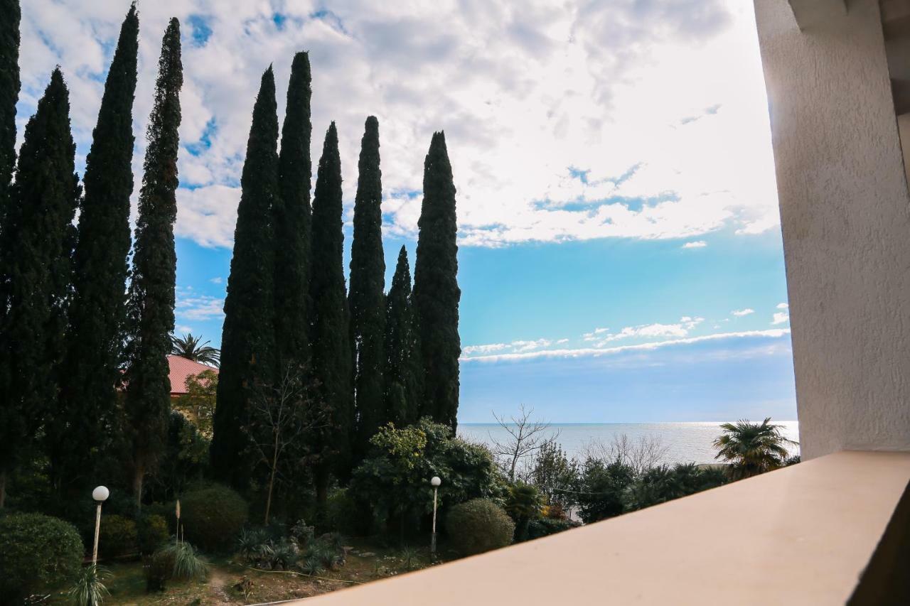 Old Gagra Hotel エクステリア 写真